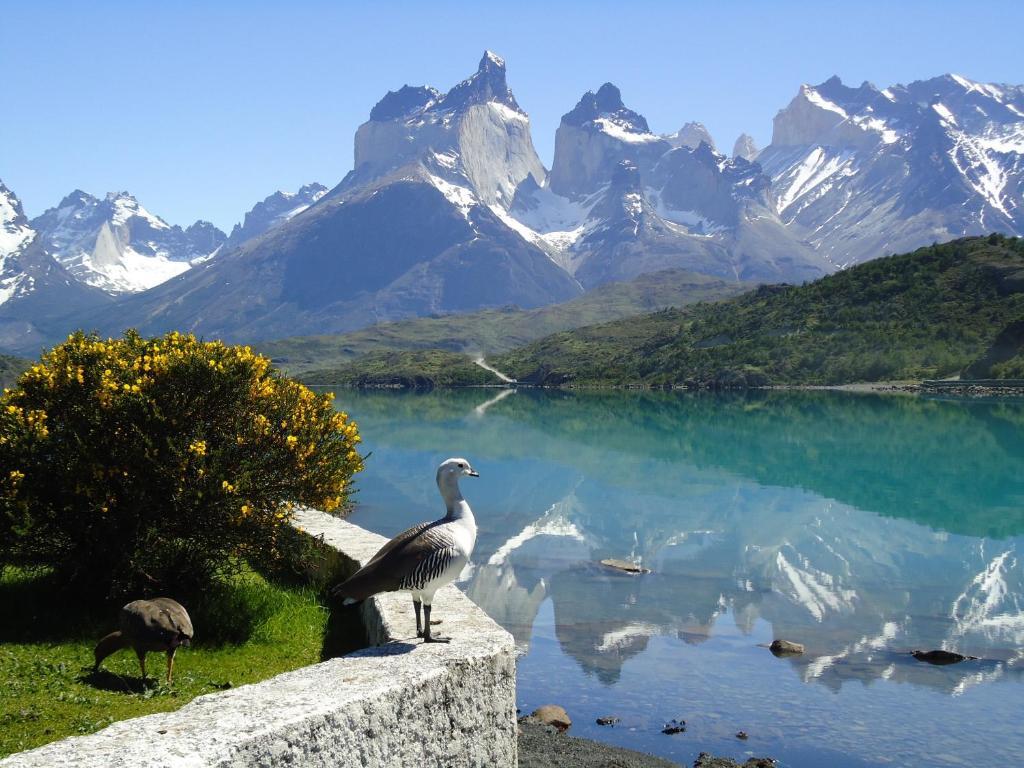 Hosteria Pehoe Torres del Paine National Park Ngoại thất bức ảnh
